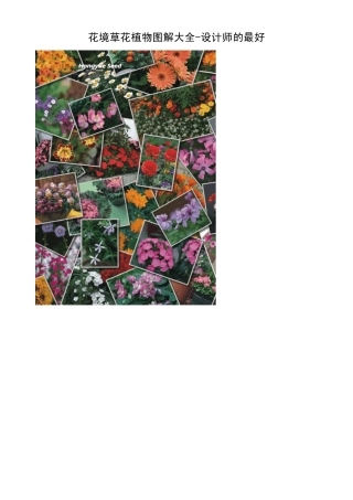 花境草花植物图解大全(设计师的最爱)