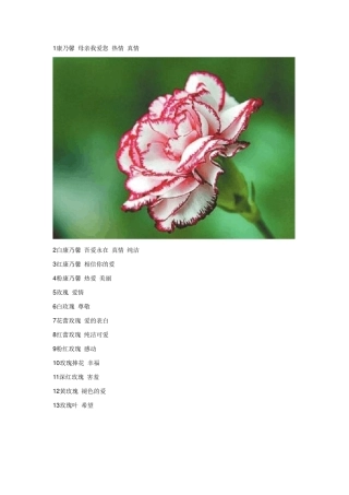 花店常见鲜花花卉最新全集配图