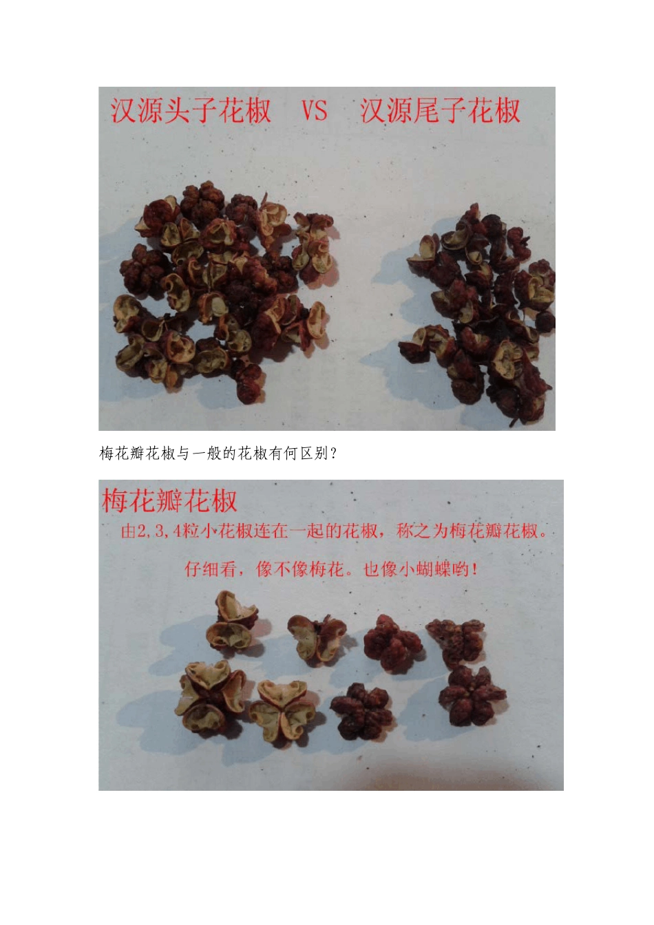 花椒的详细介绍(图文教程)包括花椒等级分类、花椒优劣鉴别、青花椒与红花椒的区别等_第2页