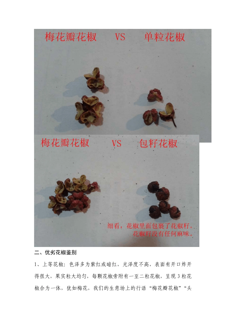 花椒的详细介绍(图文教程)包括花椒等级分类、花椒优劣鉴别、青花椒与红花椒的区别等_第3页