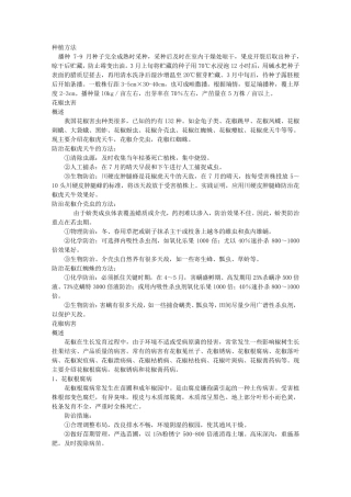 花椒种植技术大全