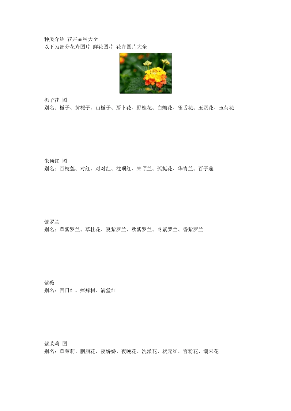 花的种类介绍花卉品种大全鲜花图片花卉图片大全_第1页