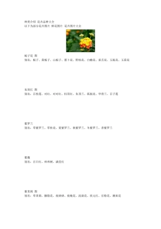花的种类介绍花卉品种大全鲜花图片花卉图片大全