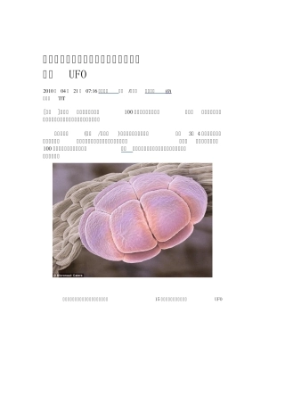 花粉显微镜下图片