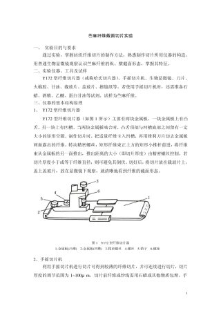 苎麻纤维截面切片实验