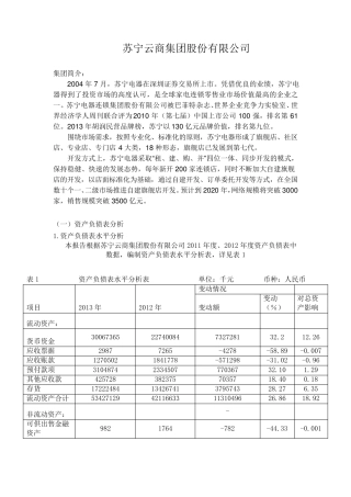 苏宁2013资产负债表分析