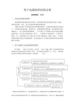 苏宁电器组织结构