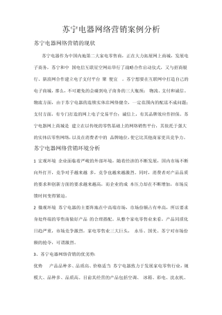 苏宁电器网络营销方案策划