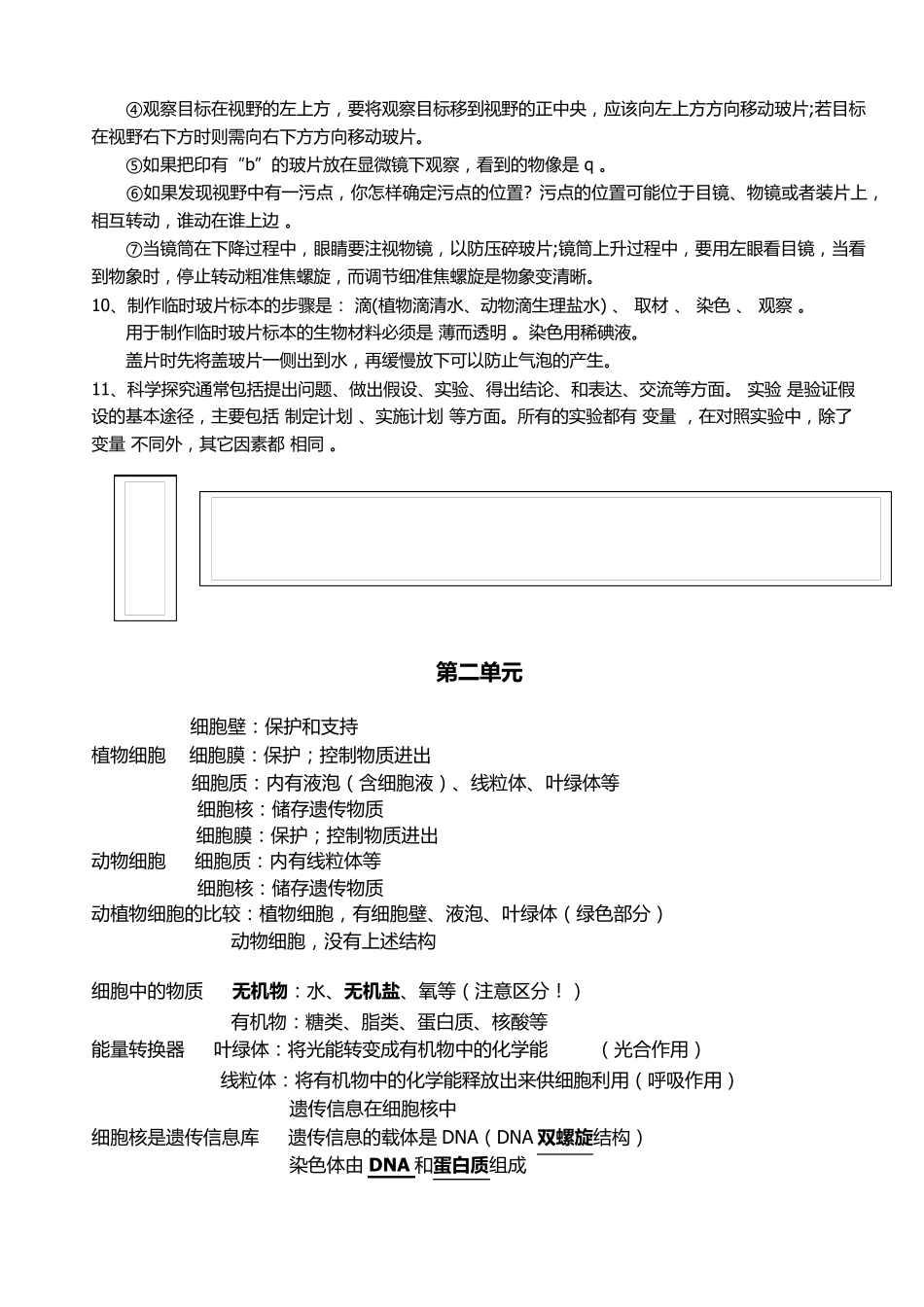 苏教版七年级生物上册知识点归纳_第3页