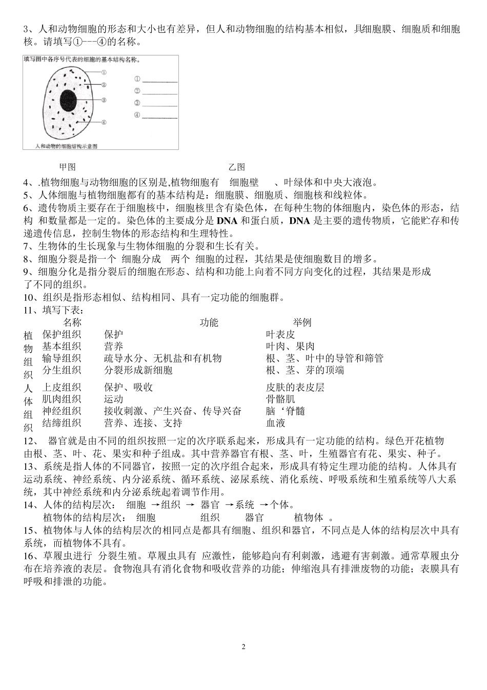 苏教版七年级生物上学期知识点总结_第2页