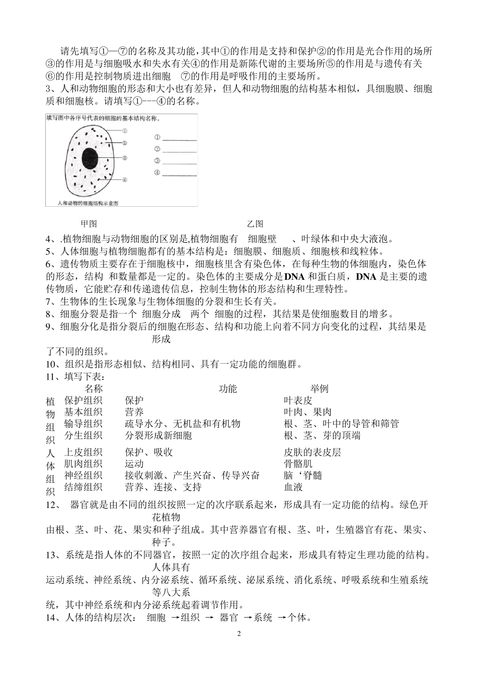 苏教版七年级生物上学期知识点汇总_第2页