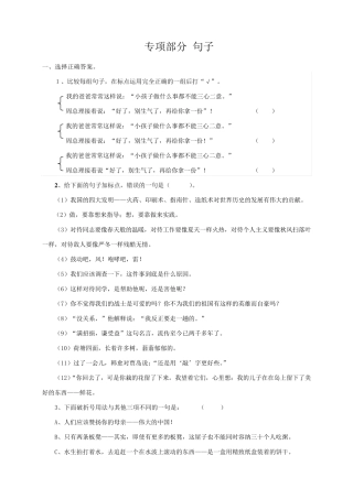 苏教版五年级语文上册专项复习句子