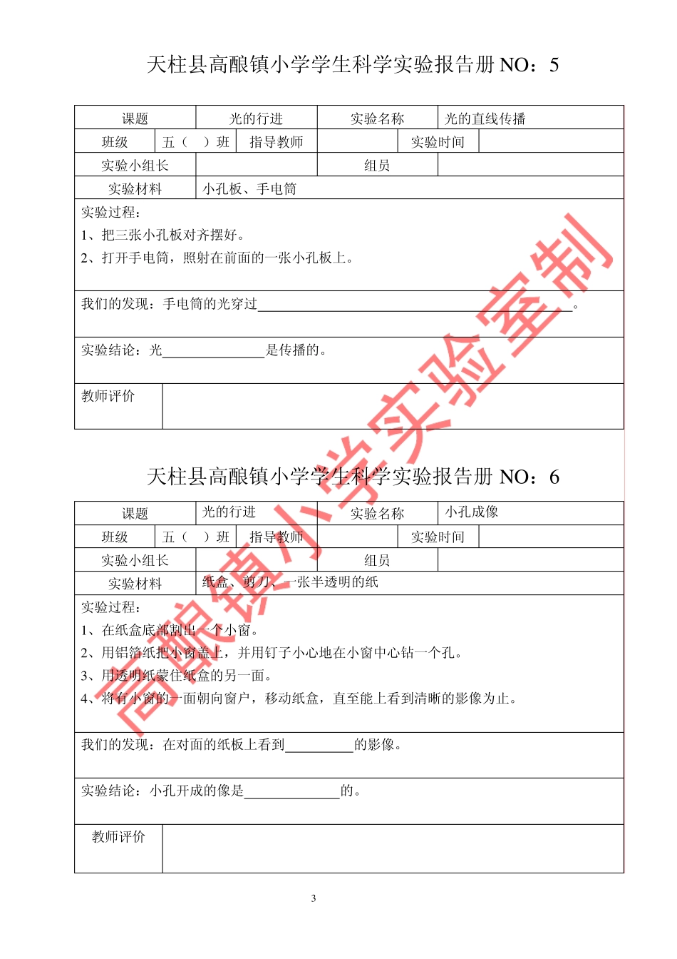 苏教版小学五年级科学上册实验报告册_第3页