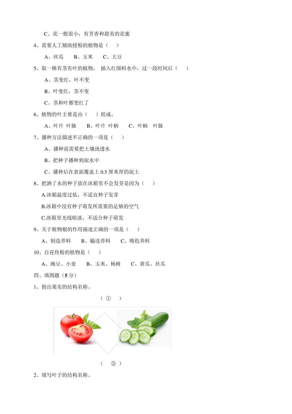 苏教版科学小学三年级下册单元检测试题附答案_第2页