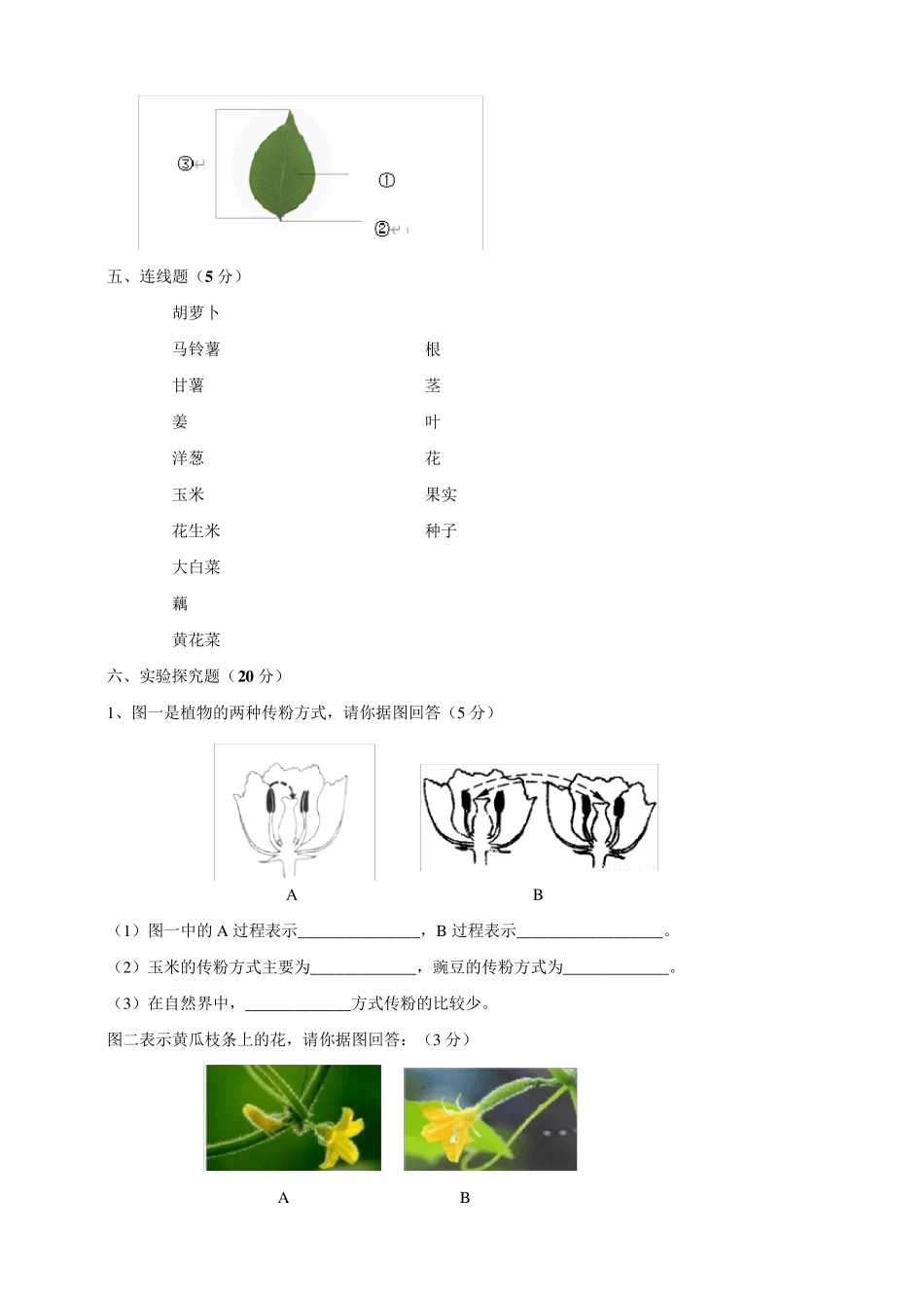 苏教版科学小学三年级下册单元检测试题附答案_第3页