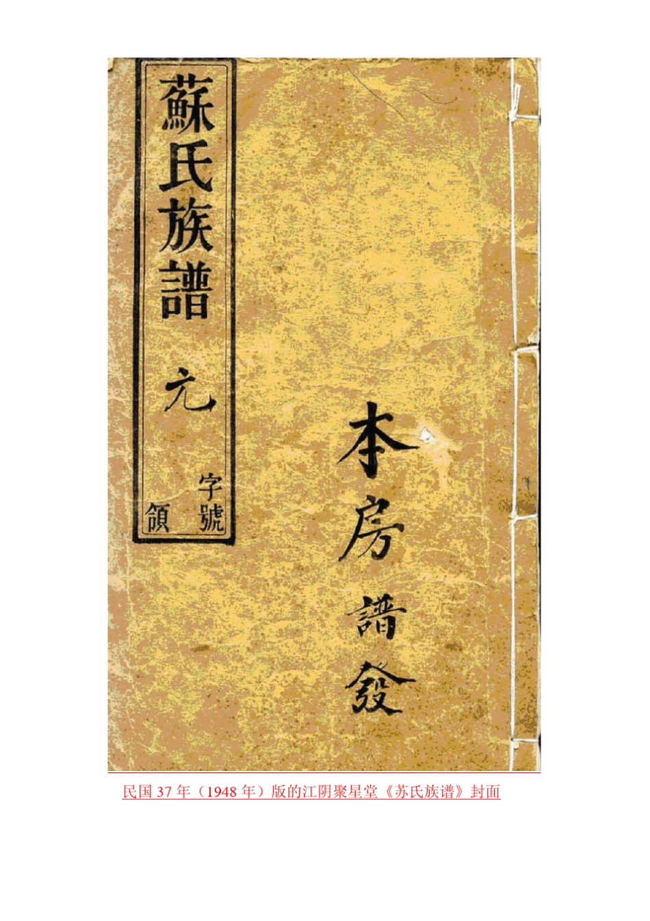 苏氏族谱特辑_第3页