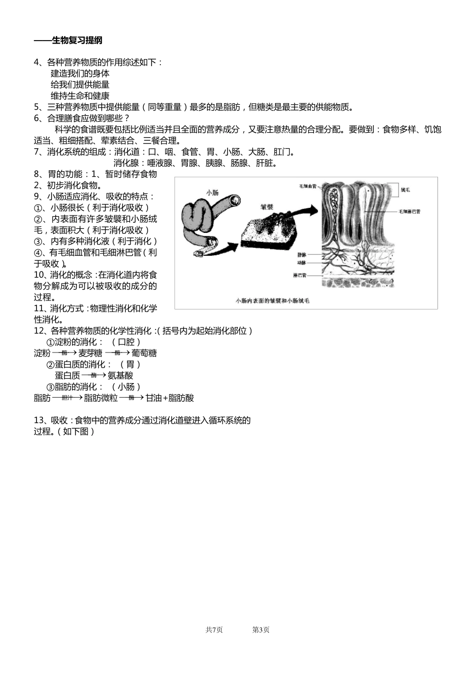 苏科版七年级上册生物复习提纲_第3页