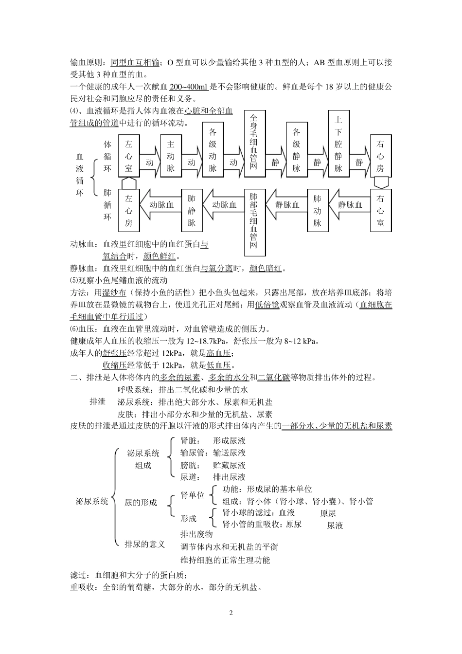 苏科版八年级上册生物知识要点归纳总结_第2页
