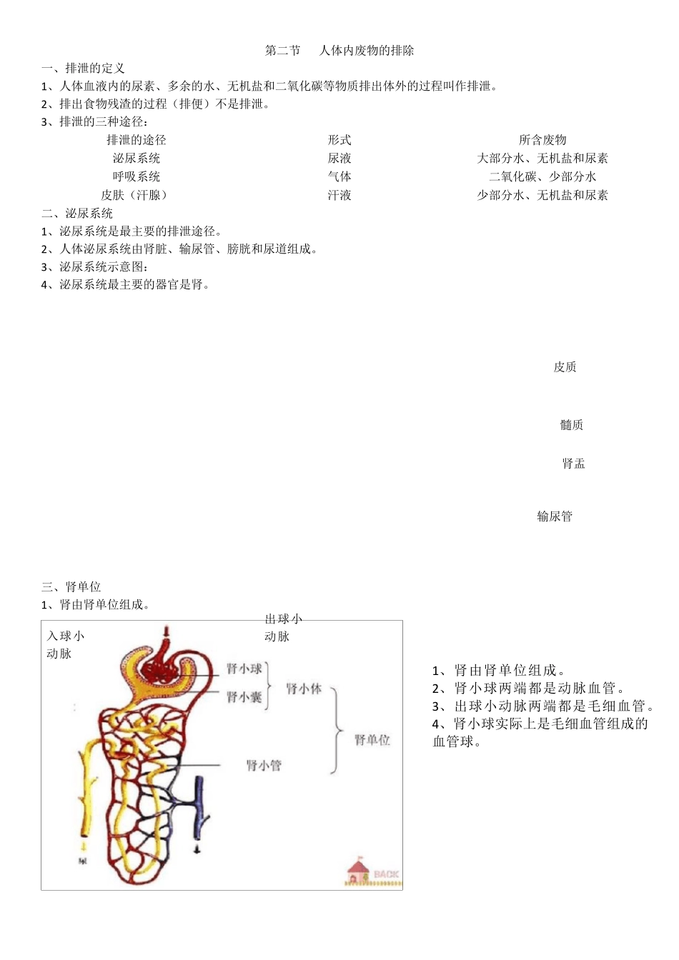 苏科版八年级生物上册知识点复习总结_第3页