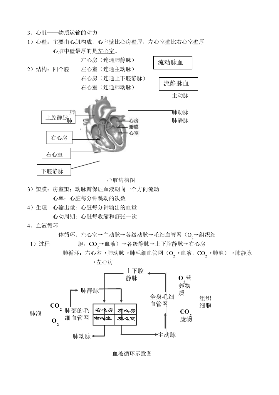 苏科版生物八年级上册期中复习提纲_第2页