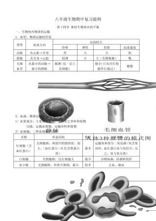 苏科版生物八年级上册期中复习提纲