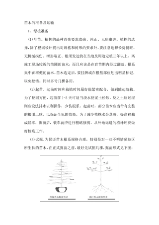 苗木的准备及运输