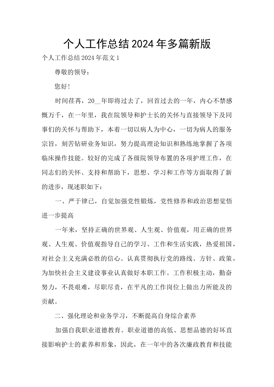 个人工作总结2024年多篇新版_第1页