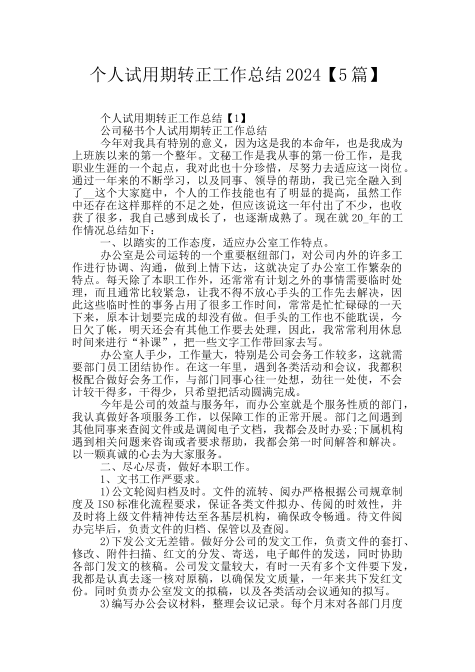 个人试用期转正工作总结2024_第1页