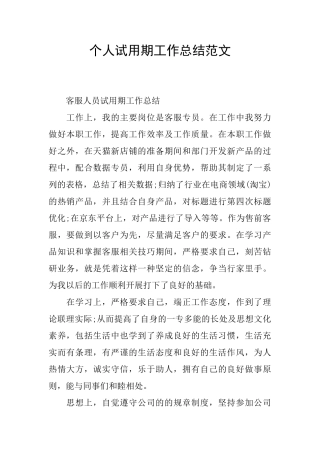 个人试用期工作总结范文