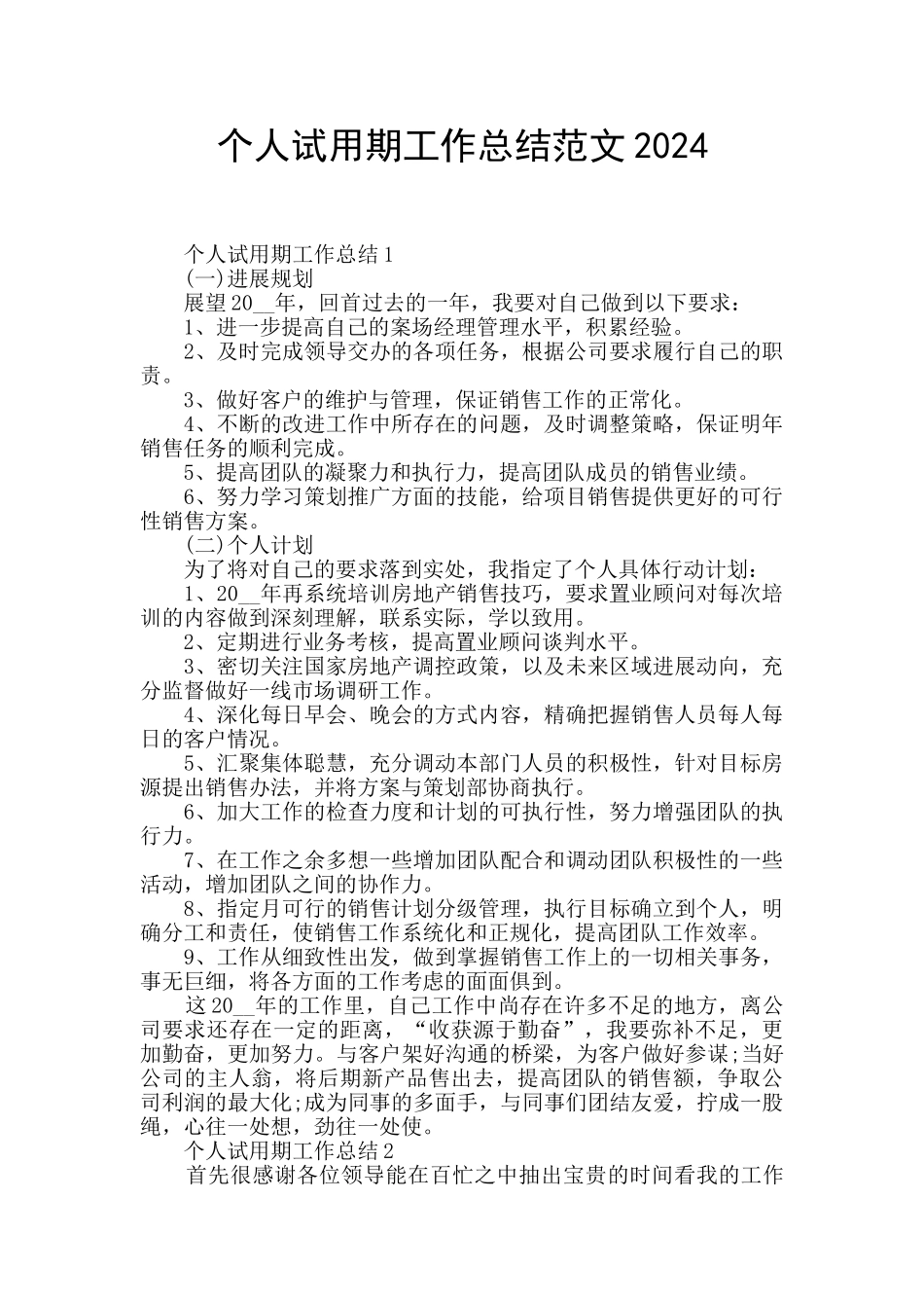 个人试用期工作总结范文2024_第1页