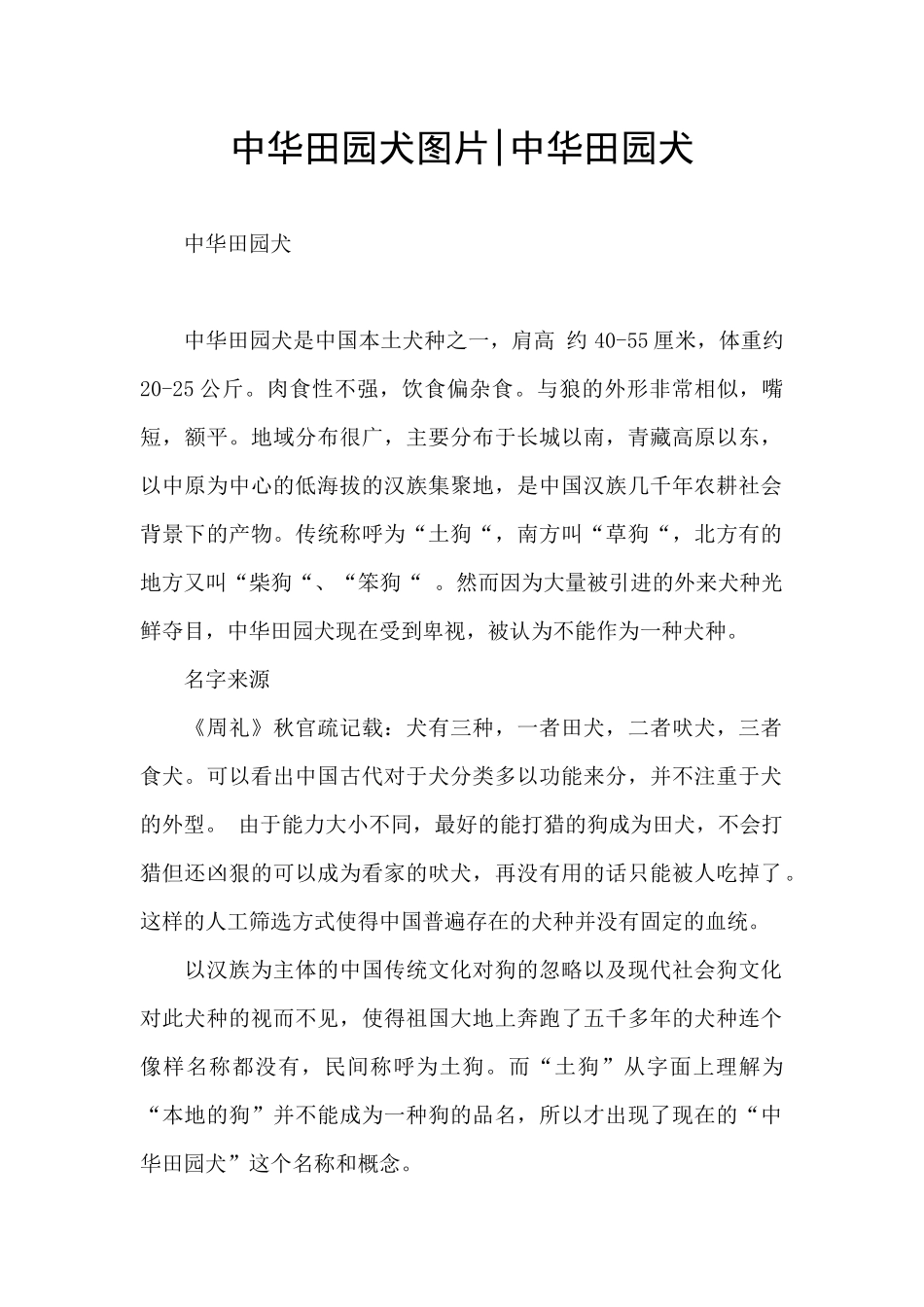 中华田园犬图片_第1页