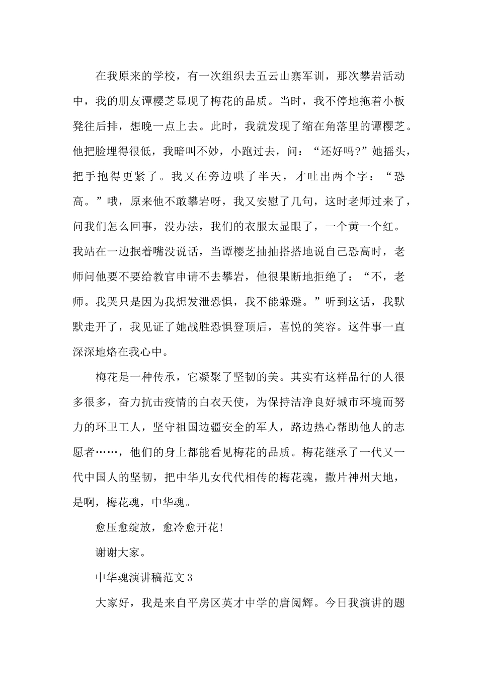 中华魂演讲稿范文5篇_第3页