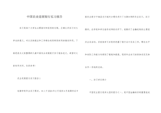 中国农业发展银行实习报告