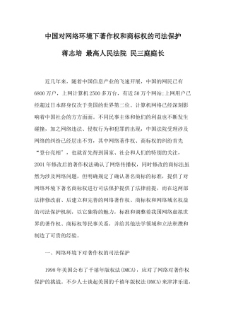 中国对网络环境下著作权和商标权的司法保护