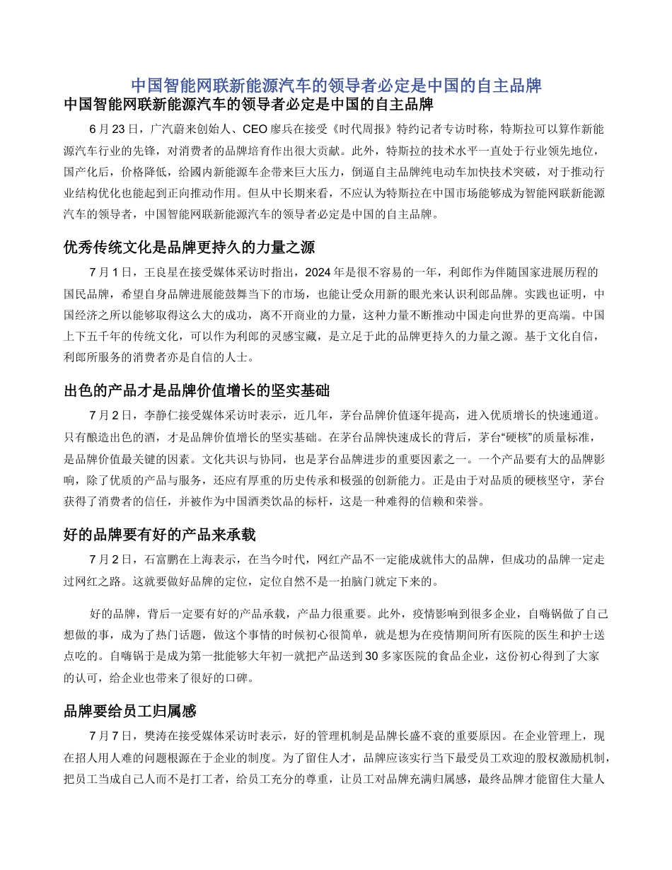 中国智能网联新能源汽车的领导者必定是中国的自主品牌_第1页