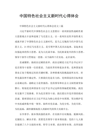 中国特色社会主义新时代心得体会