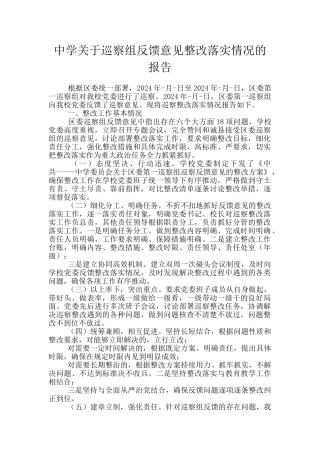 中学关于巡察组反馈意见整改落实情况的报告