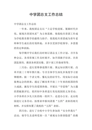 中学团总支工作总结