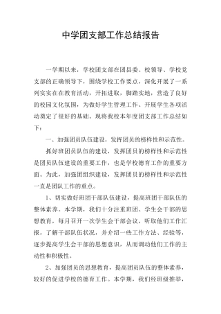 中学团支部工作总结报告