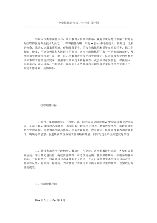 中学挂职副校长工作计划