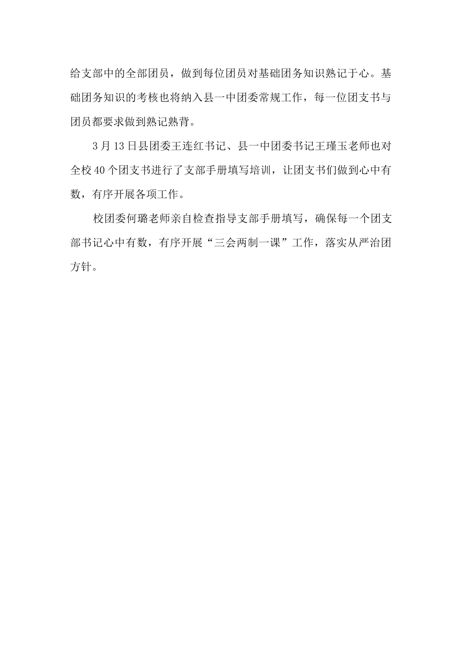 中学校团委从严治团工作总结_第3页