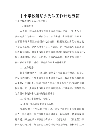 中小学校暑期少先队工作计划五篇