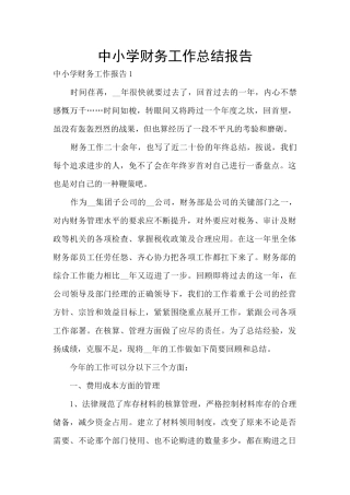 中小学财务工作总结报告