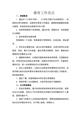 中心小学德育工作亮点