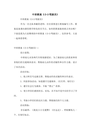 中班教案《小小驾驶员》