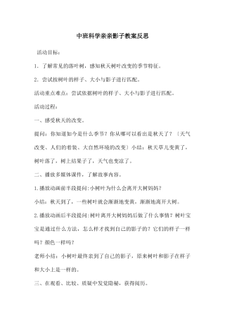 中班科学亲亲影子教案反思