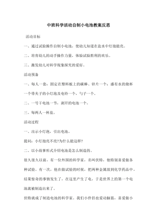 中班科学活动自制小电池教案反思