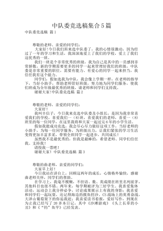 中队委竞选稿集合5篇