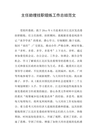 主任助理挂职锻炼工作总结范文