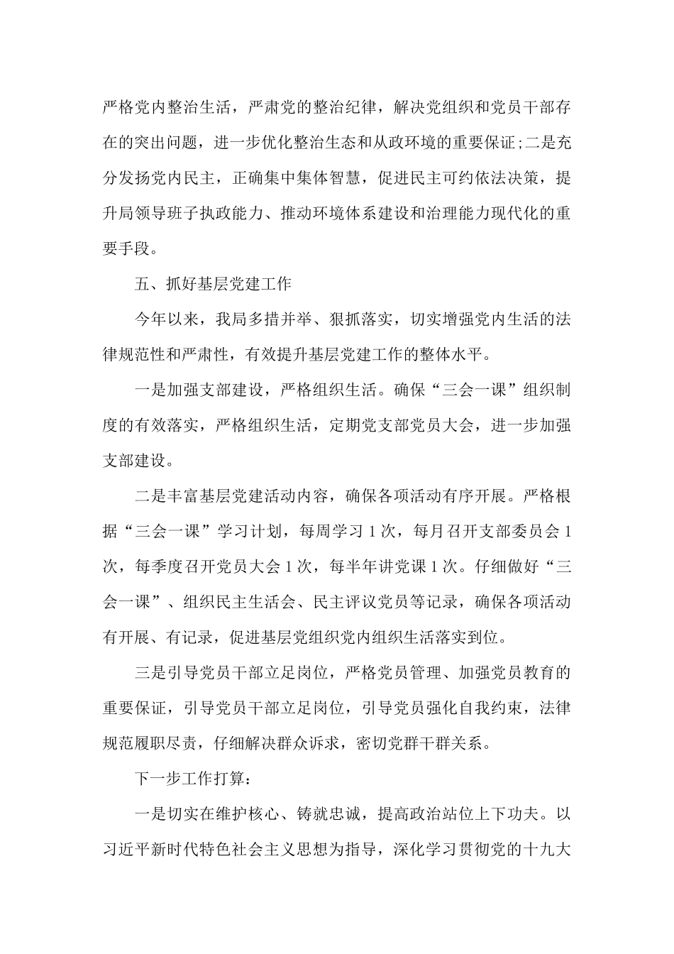 主体责任报告_第3页